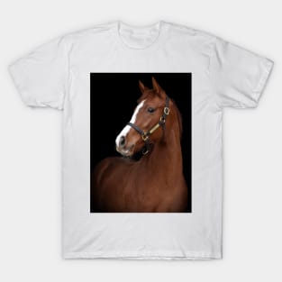 Verrazano filly T-Shirt